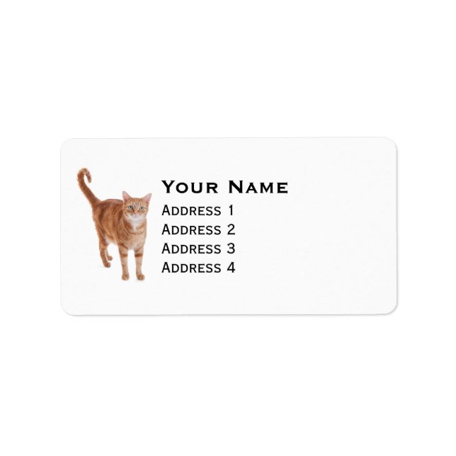 Orange Tabby Cat Label (Front)