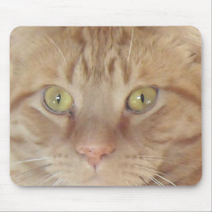 Orange Tabby Cat Mouse Pad