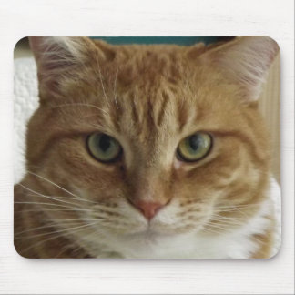 Orange Tabby Cat Mousepad