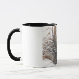 Orange Tabby Cat Mug