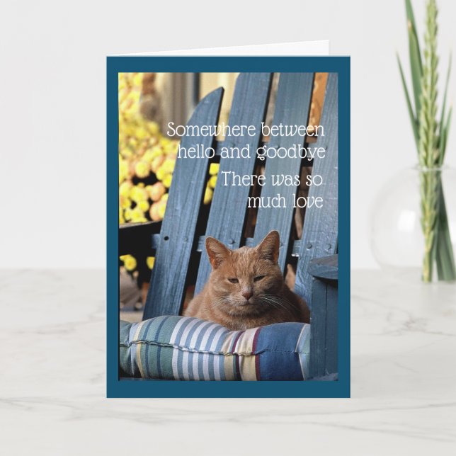 Orange Tabby Cat on Blue Chair  Card (Front)