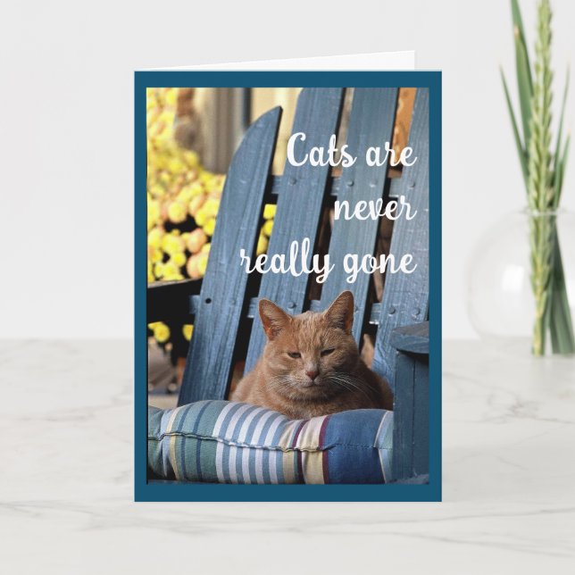 Orange Tabby Cat on Blue Chair Sympathy Announcement (Front)