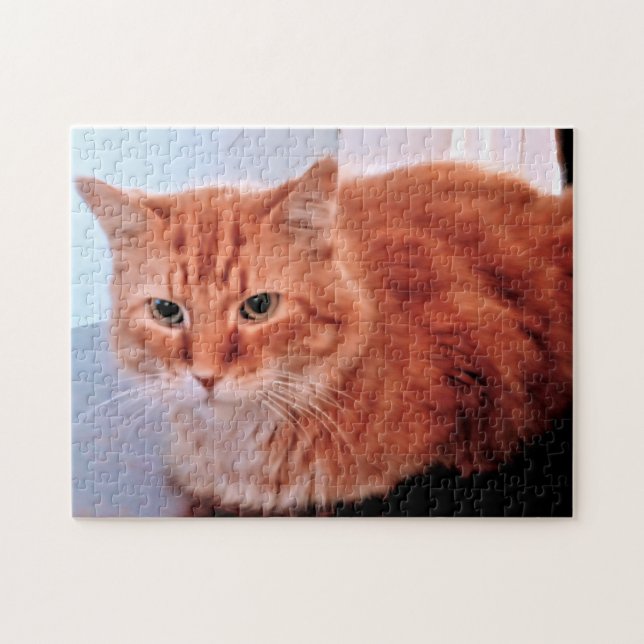 Orange Tabby Cat Photo Family Pet Jigsaw Puzzle (Horizontal)