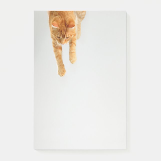 Orange Tabby Cat Post-it® Notes 4 x 6 (Front)