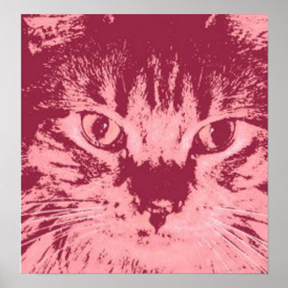 Orange Tabby Cat Poster