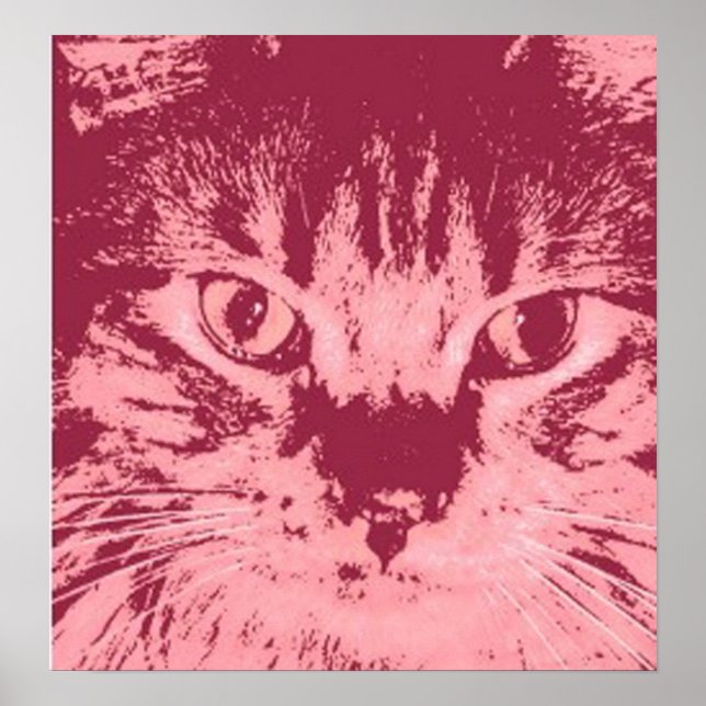 Orange Tabby Cat Poster (Front)