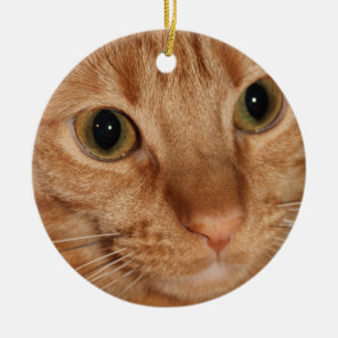 Orange Tabby Cat Profile Face Close up Ceramic Tree Decoration