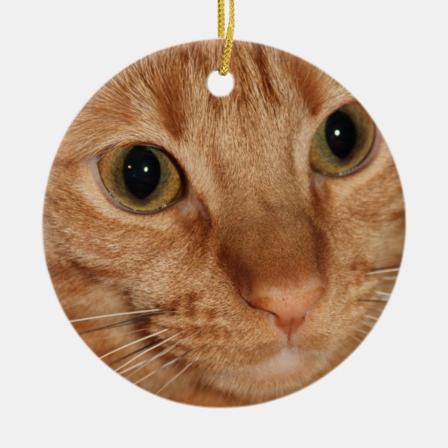 Orange Tabby Cat Profile Face Close up Ceramic Tree Decoration (Front)