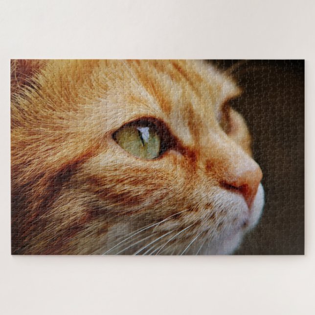 orange tabby cat puzzle (Horizontal)