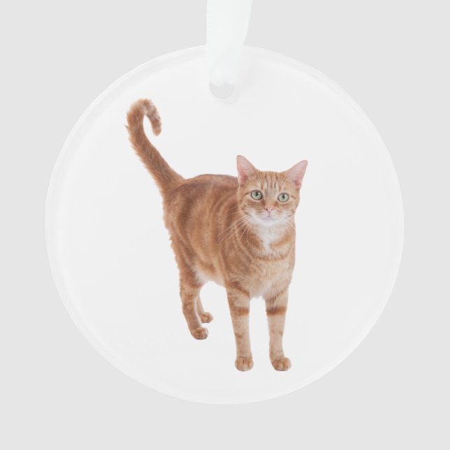 Orange Tabby Cat Standing Ornament (Front)
