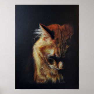 Orange Tabby Cat "Stay Strong" Coloured Pencil Art Poster