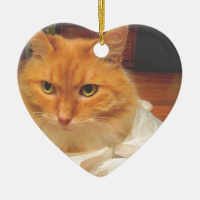 Orange Tabby Ceramic Tree Decoration (Front)