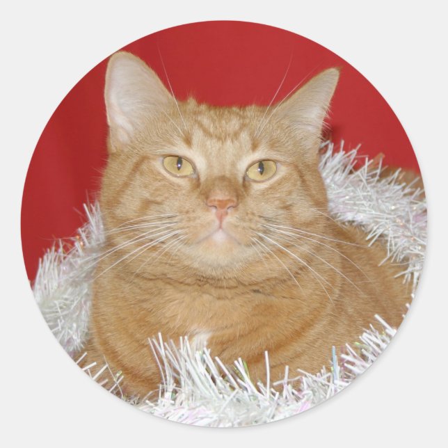 Orange tabby Christmas Classic Round Sticker (Front)