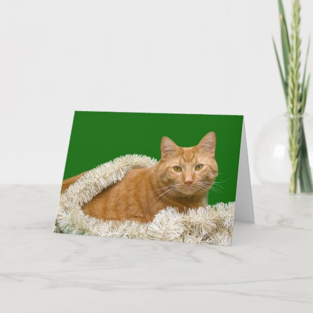 Orange tabby Christmas Holiday Card (Front)