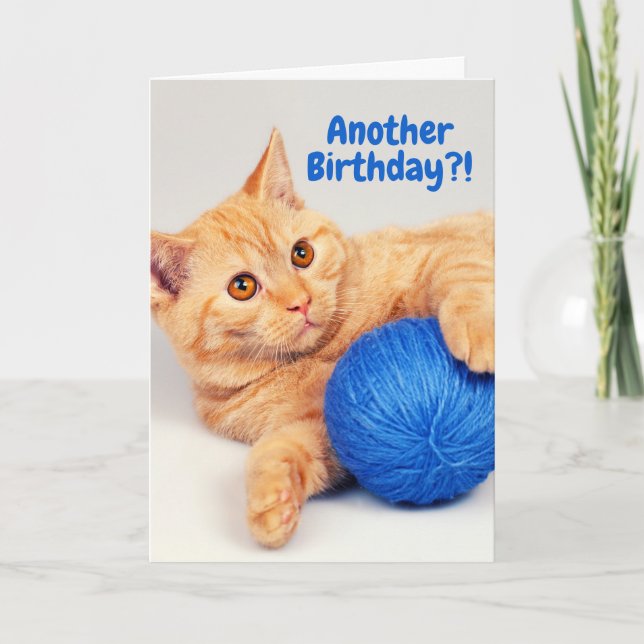 Orange Tabby Have a Ball (of yarn) Birthday Card (Front)