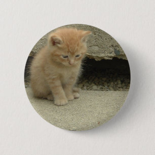 Orange Tabby Kitten 6 Cm Round Badge
