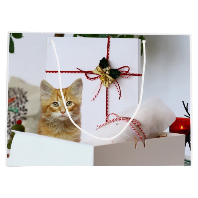 Orange tabby kitten Christmas Large Gift Bag (Back)