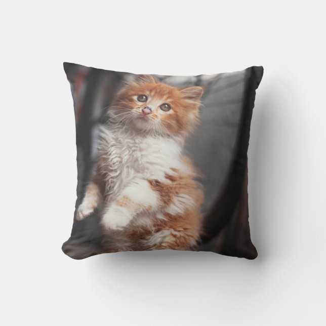 Orange Tabby Kitten Cushion (Front)