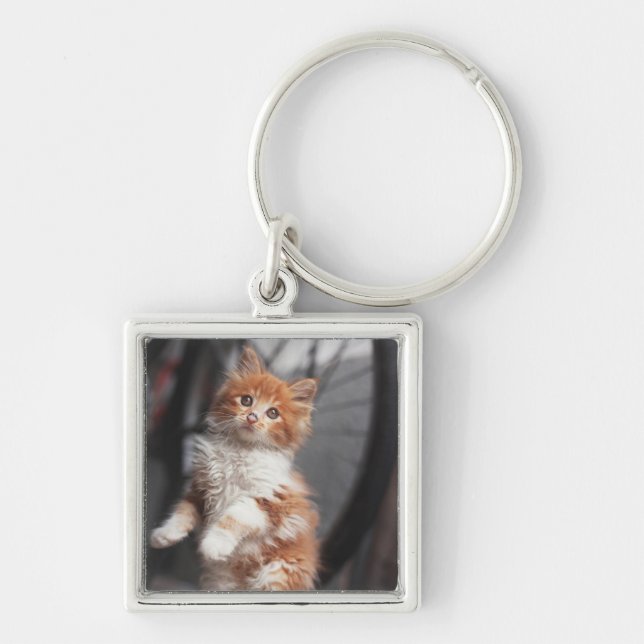 Orange Tabby Kitten Key Ring (Front)
