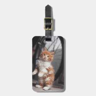 Orange Tabby Kitten Luggage Tag