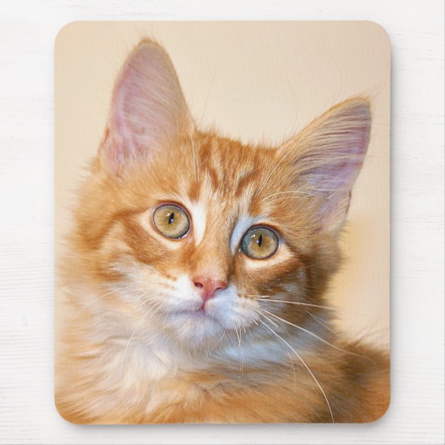 Orange tabby kitten mouse pad (Front)