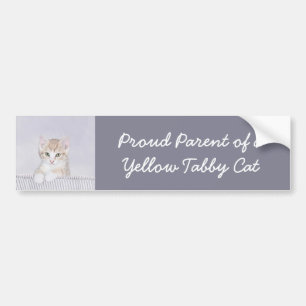 Orange Tabby Kitten Painting - Original Cat Art Bumper Sticker