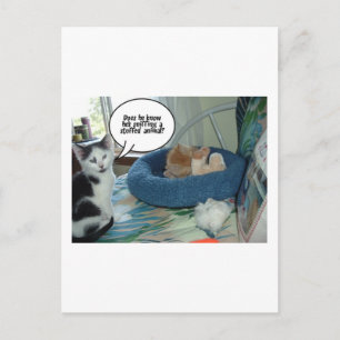 Orange Tabby Kitty Cat Postcard