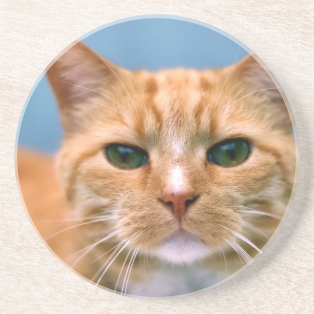 Orange Tabby Kitty Kitten Cat Coaster (Front)