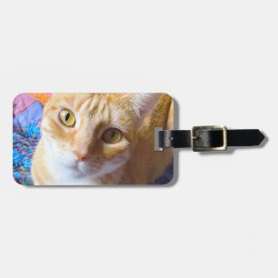 Orange tabby on quilt luggage tag