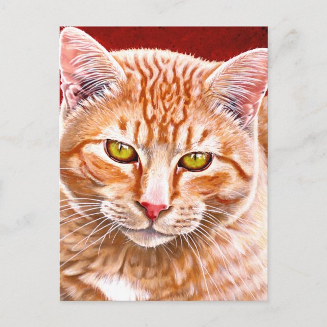 Orange Tabby Painting Postcard (Front)