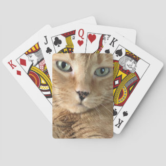 Orange Tabby Playing Cards