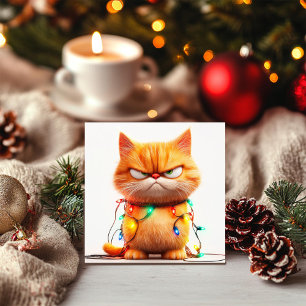 Orange Tabby’s Holiday Drama Card
