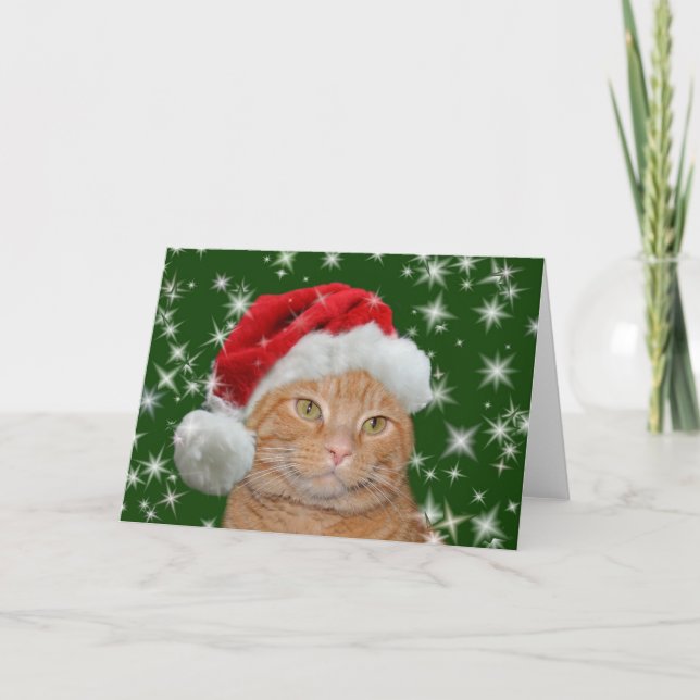 Orange tabby Santa Holiday Card (Front)
