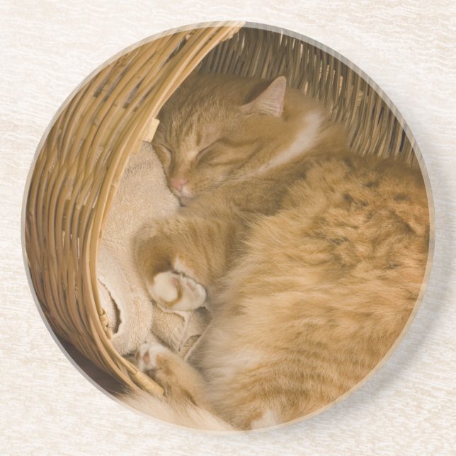 Orange tabby sleeping in hamper coaster (Front)