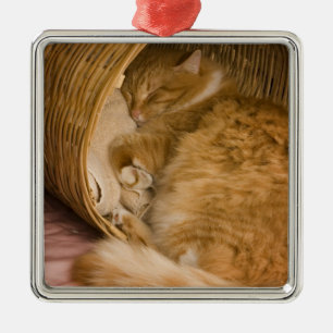 Orange tabby sleeping in hamper metal tree decoration