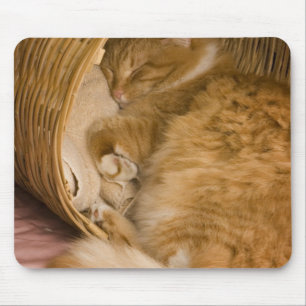 Orange tabby sleeping in hamper mouse pad