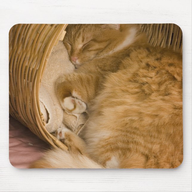 Orange tabby sleeping in hamper mouse pad (Front)