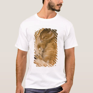 Orange tabby sleeping in hamper T-Shirt