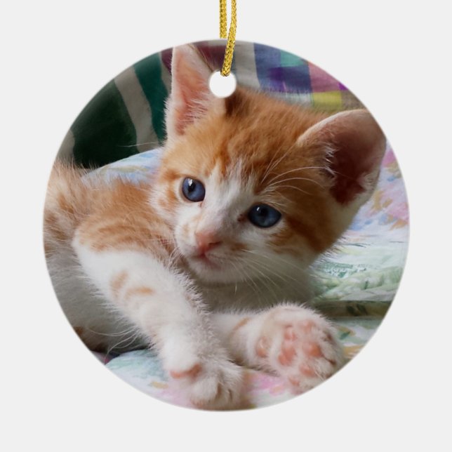 Orange Tabby & White Kitten Ornament (Front)