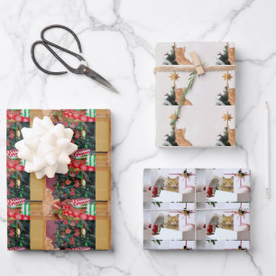 Orange Tabby Wrapping Paper Flat Sheet Set of 3