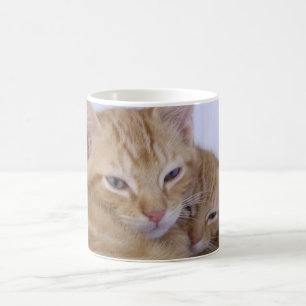 Orange Tabbys Coffee Mug