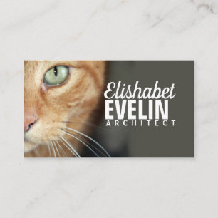 Orange tiger cat face closeup business card