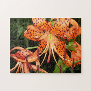 Orange Tiger Lily Flower Jigsaw Puzzle