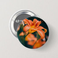 Orange Tiger Lily Flower Photo