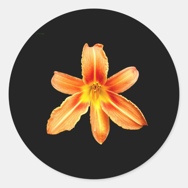 Orange Tiger Lily Stickers (Front)