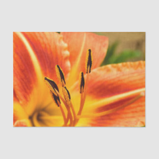Orange Tiger Lily Tissue Paper