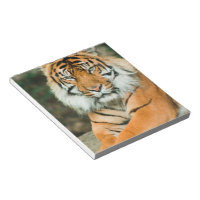 Orange Tiger Notepad