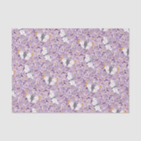 Orange Tip Butterflies on Lavender Flowers