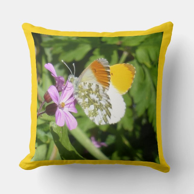 Orange Tip Butterfly Cust. Border Throw Pillow (Front)