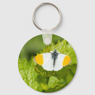 Orange Tip butterfly Key Ring